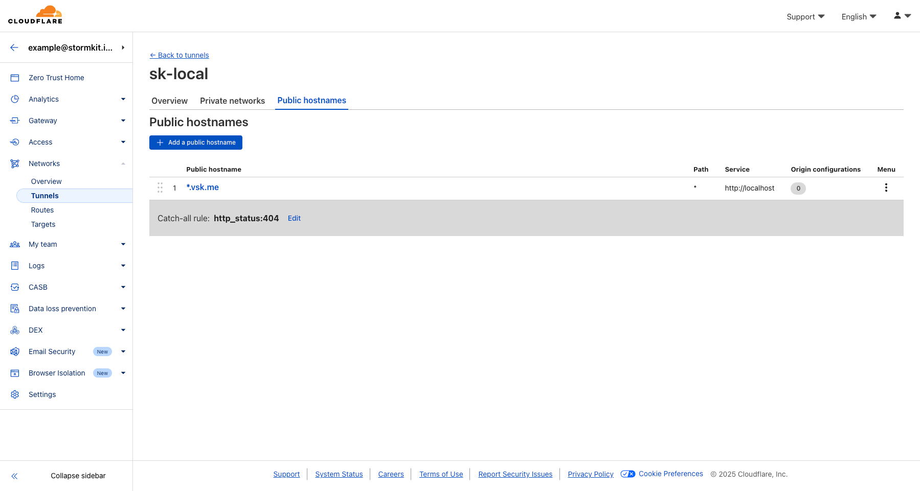 CloudFlare Public Hostnames